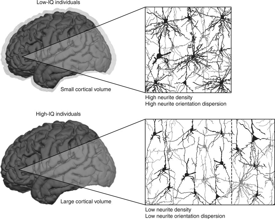 Genc et al., 2018, Fig. 4